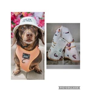 NWT Trout Fishing Bucket Hat SZ‎ XL Sunbathing Attached Tie Top Paw